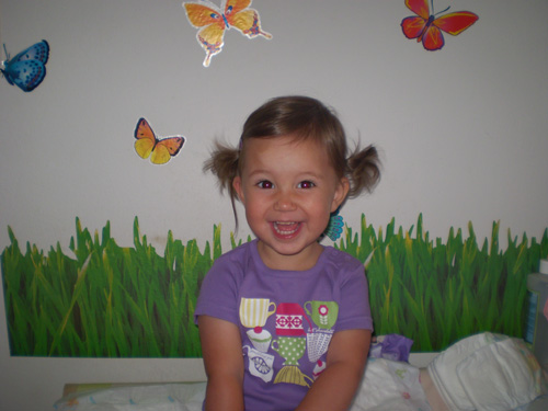 leptiri u mojoj sobi image