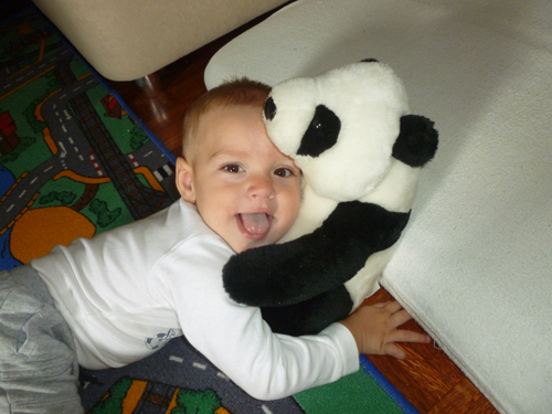 Danči obožava svog medu : image