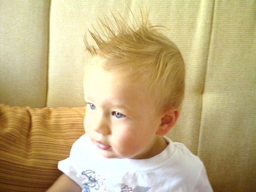 roko gleda crtani film image